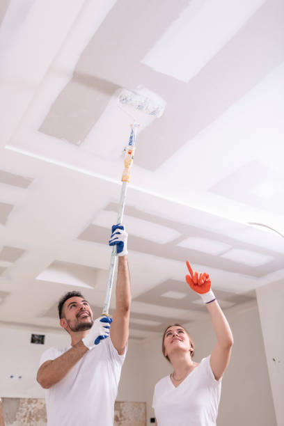 Best Water Damage & Mold Remediation  in Essex Junction, VT