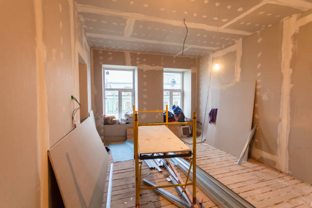 Best Biohazard Mold Removal  in Essex Junction, VT