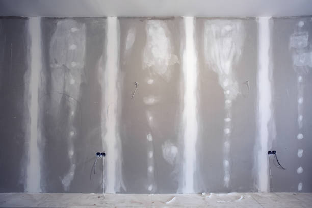 Best Water Damage & Mold Remediation  in Essex Junction, VT